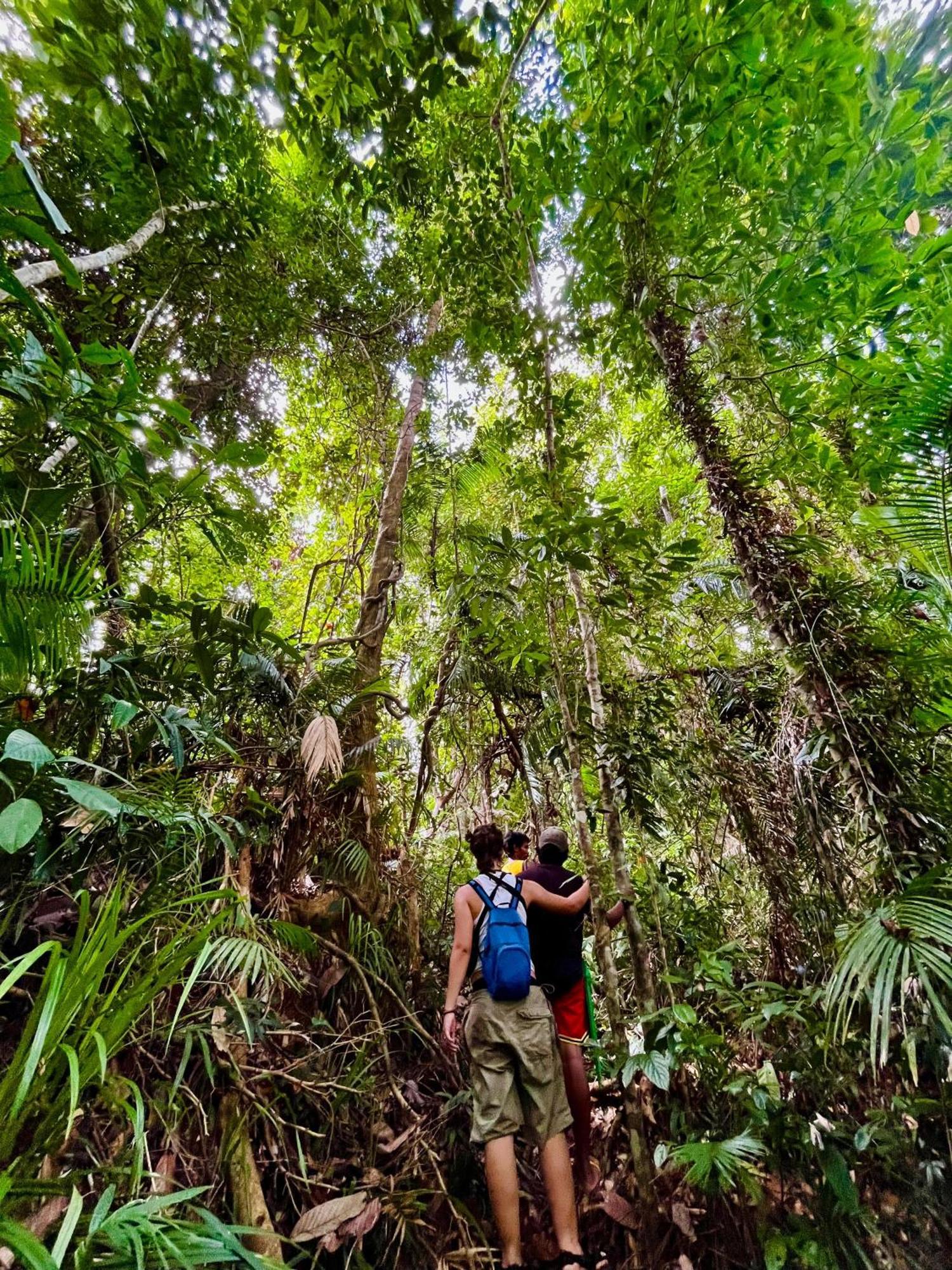 Efrena Agro Tourism Beach El Nido Eksteriør billede