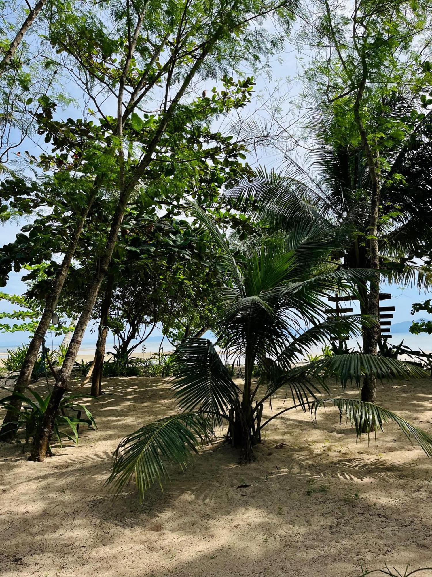 Efrena Agro Tourism Beach El Nido Eksteriør billede