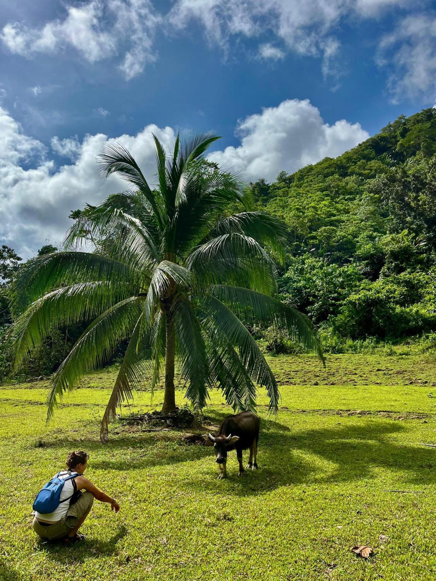 Efrena Agro Tourism Beach El Nido Eksteriør billede