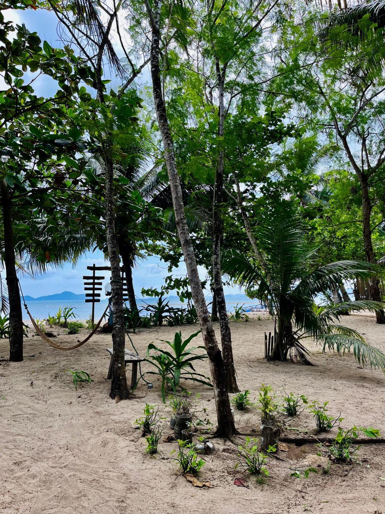 Efrena Agro Tourism Beach El Nido Eksteriør billede