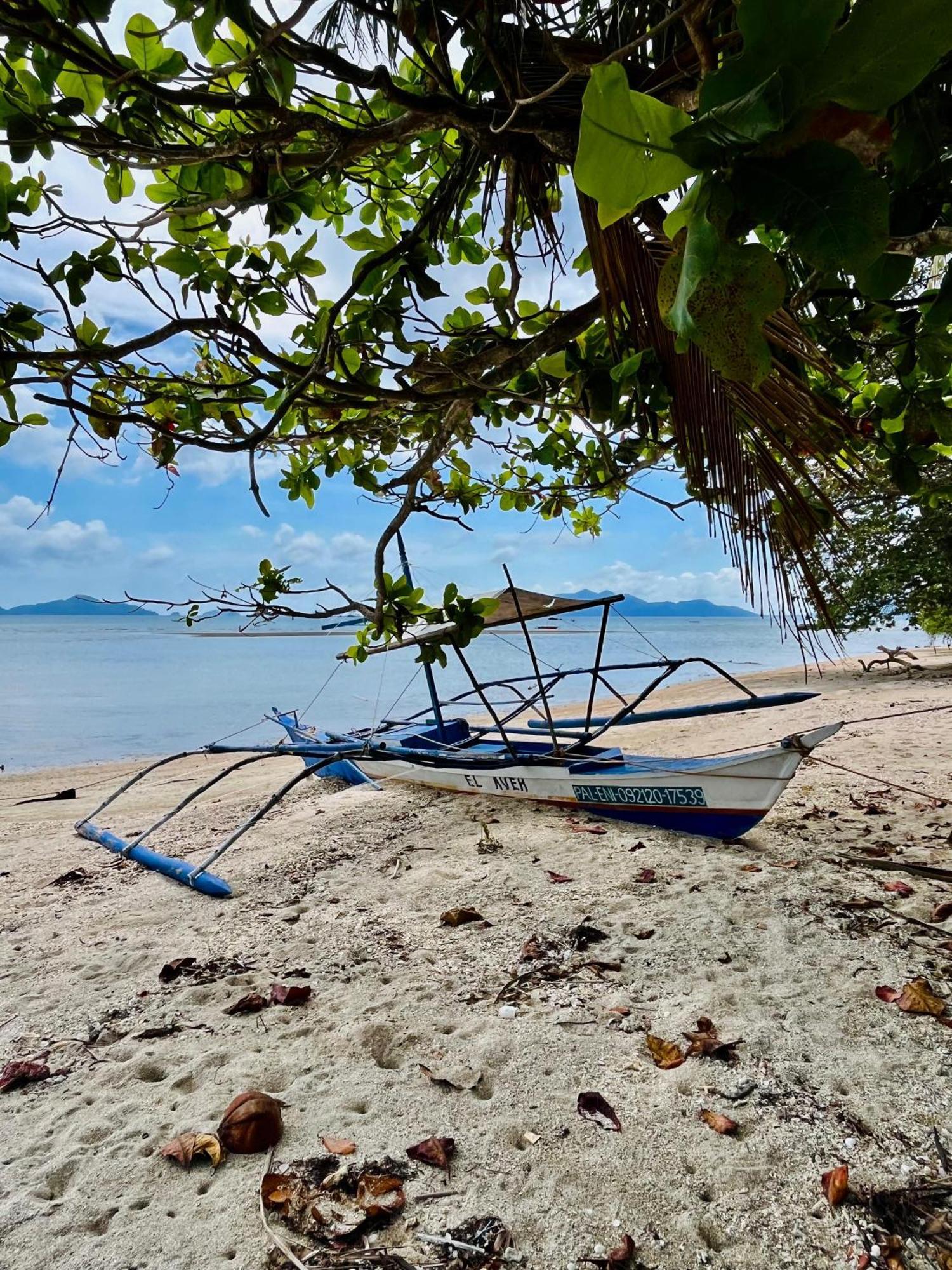 Efrena Agro Tourism Beach El Nido Eksteriør billede