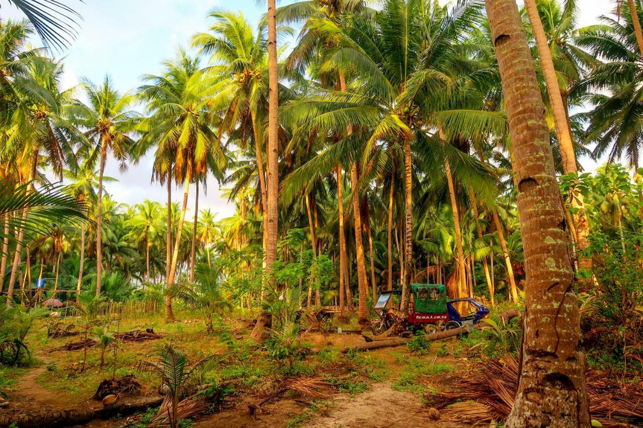 Efrena Agro Tourism Beach El Nido Eksteriør billede